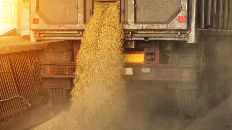 Aldo Vendramin destaca os incentivos necessários para fortalecer a infraestrutura de armazenagem no agro.