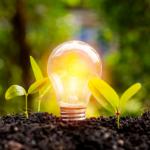 Como analisa Elias Assum Sabbag Junior, a combinação entre energia renovável e embalagens plásticas está redesenhando processos industriais para reduzir impacto ambiental com eficiência e escala.