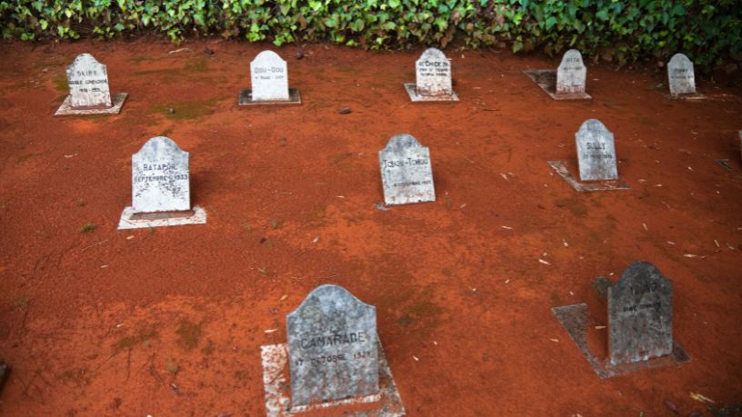 Economia circular e impacto ambiental no setor funerário com Tiago Oliva Schietti.